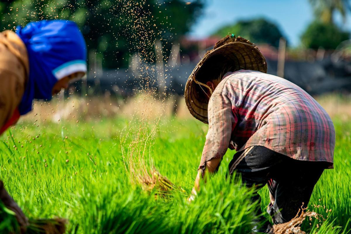 Agricultural Sciences and Technologies