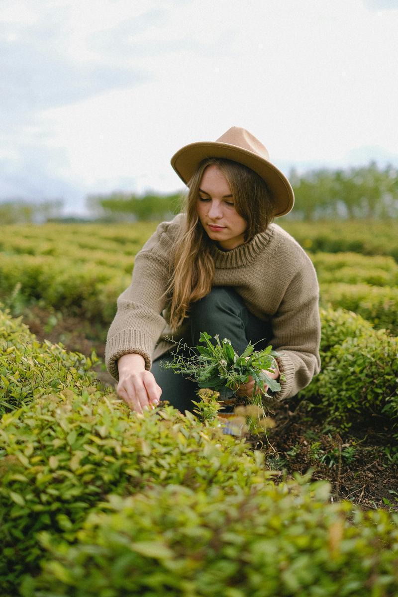 Tropical and Subtropical Agriculture