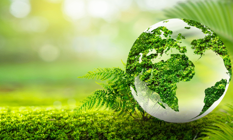 Sustainable Building Engineering