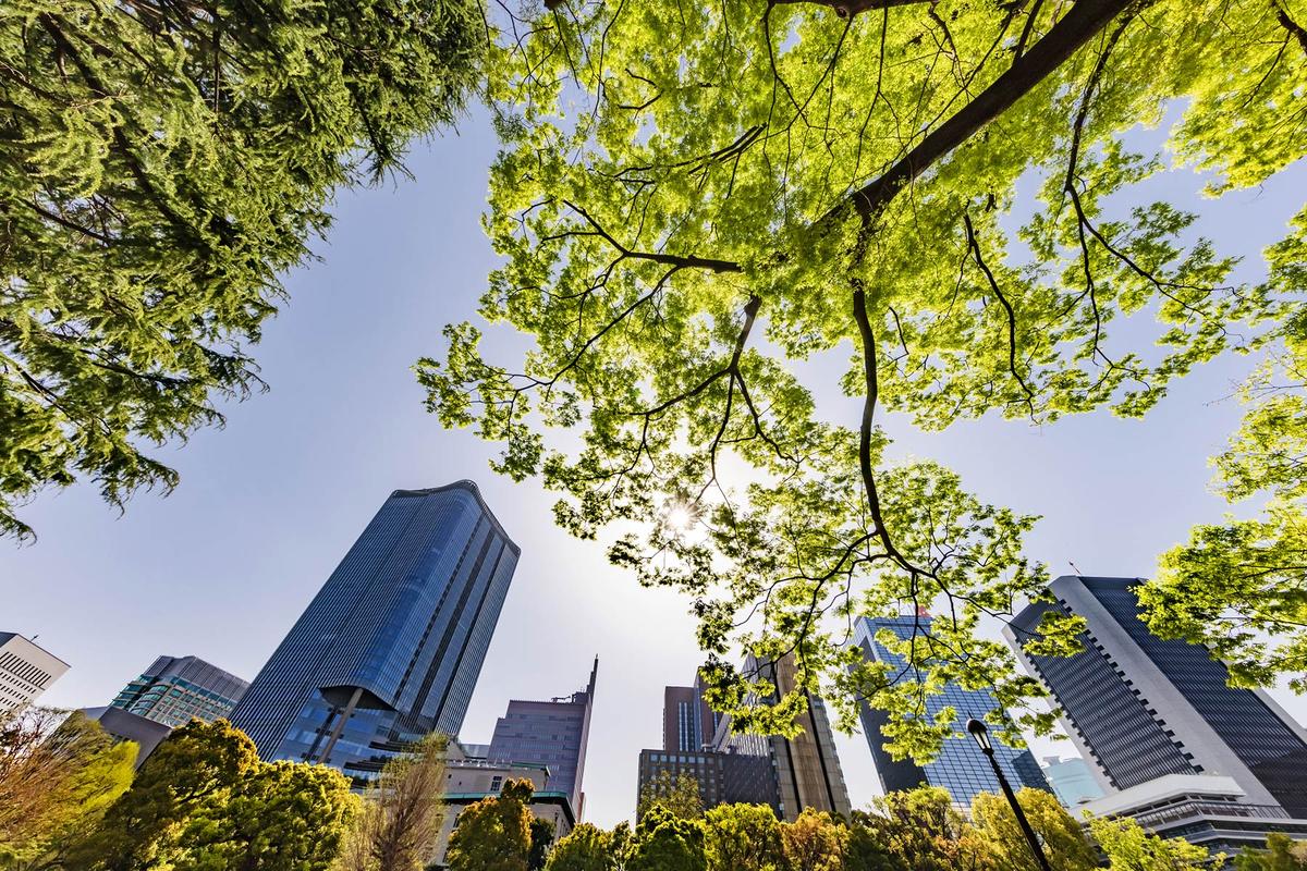 Management for Sustainable Firms