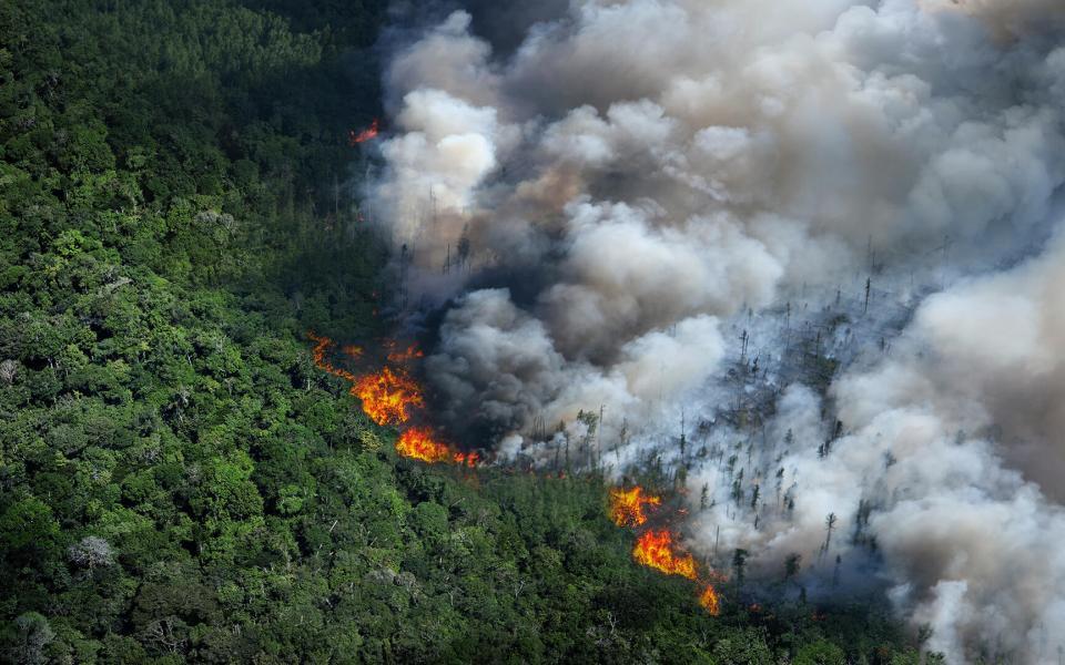 Environmental Change and Global Sustainability