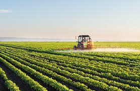 Agricultural and Environmental Biotechnology