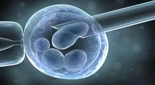 Reproductive Biotechnologies