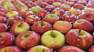 Agrifood Innovation Management