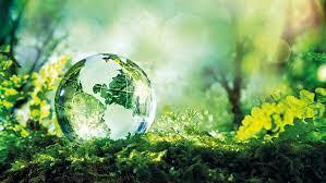 Sustainable Polymer and Process Chemistry