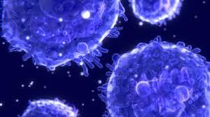 Molecular Biotechnology