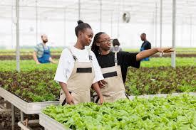 Agricultural and Environmental Sciences