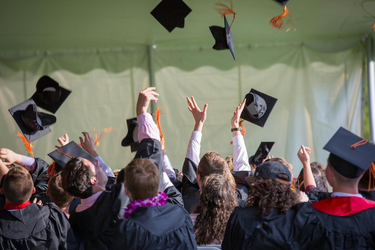 Navigating for Scholarship applications