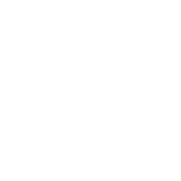Visa Approval Icon